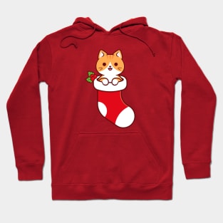 Cute Orange Tabby Cat Inside a Christmas Stocking Hoodie